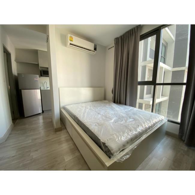 146648-thickbox_default (1).jpg