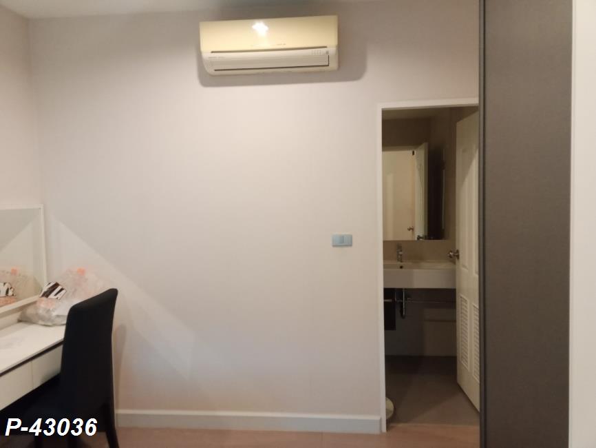 5 (16).jpg