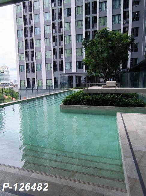 p10.jpg