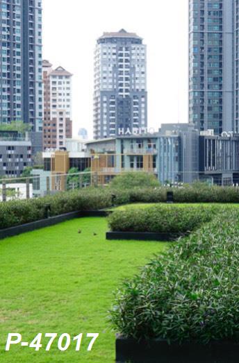The Base Sukhumvit 77 สวน.jpg