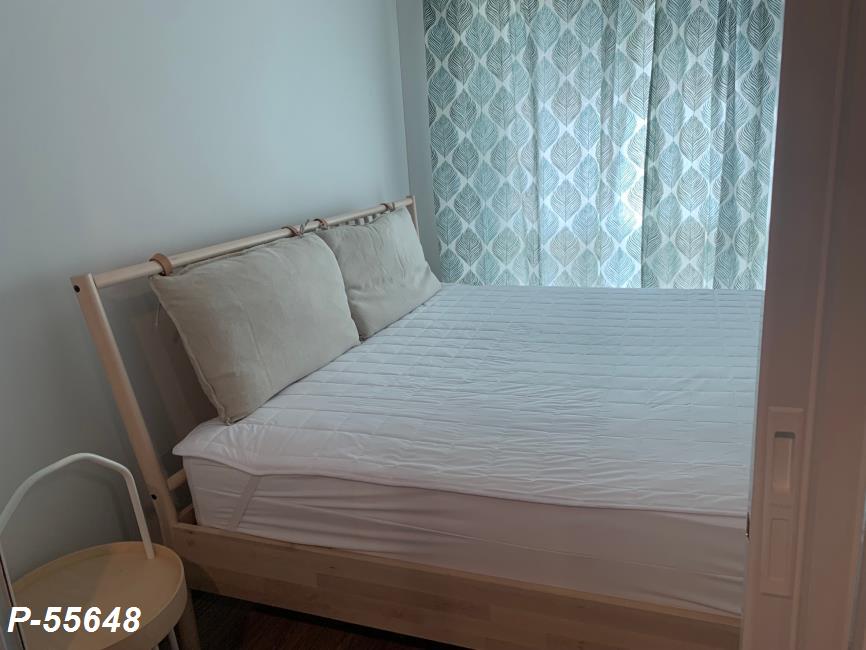 P-55648 (5).jpg