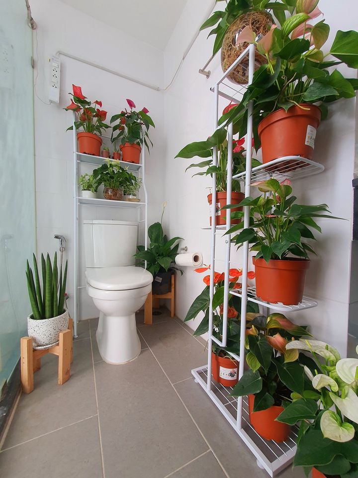 Pela Wutthakat ห้องน้ำ.jpg