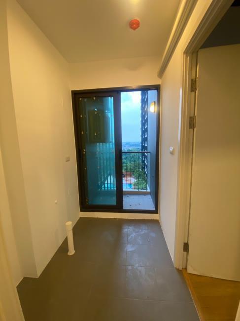 The Tree RIO ระเบีง.jpg