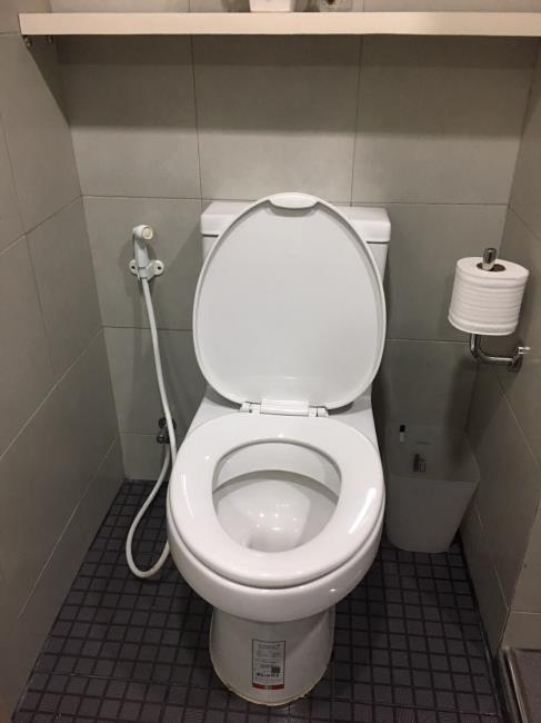 Elio Del Ray ชักโครก.jpg