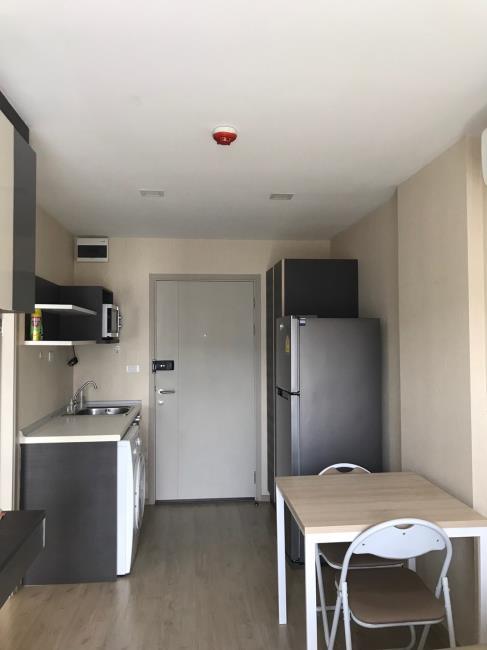 Elio Del Ray  ครัว.jpg